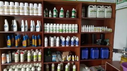 海口水利工程白蚁防治与日用品销售企业的信誉构建